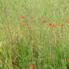 DSCF0114