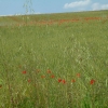 DSCF0117