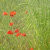 DSCF0118