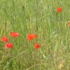 DSCF0119