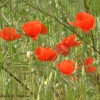 DSCF0120