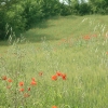 DSCF0121