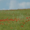 DSCF0125