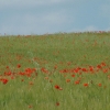 DSCF0126
