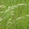 DSCF0129
