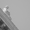 DSCF0028