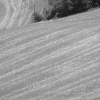 DSCF0051