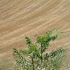 DSCF0053
