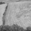 DSCF0057