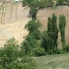 DSCF0060