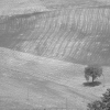 DSCF0064