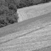 DSCF0067
