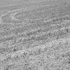 DSCF0068