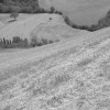 DSCF0069