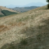 DSCF0072