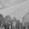 DSCF0077