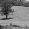 DSCF0080