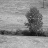 DSCF0082
