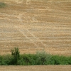 DSCF0086