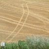 DSCF0088