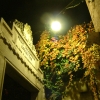 DSCF0065