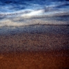 waves2011_004