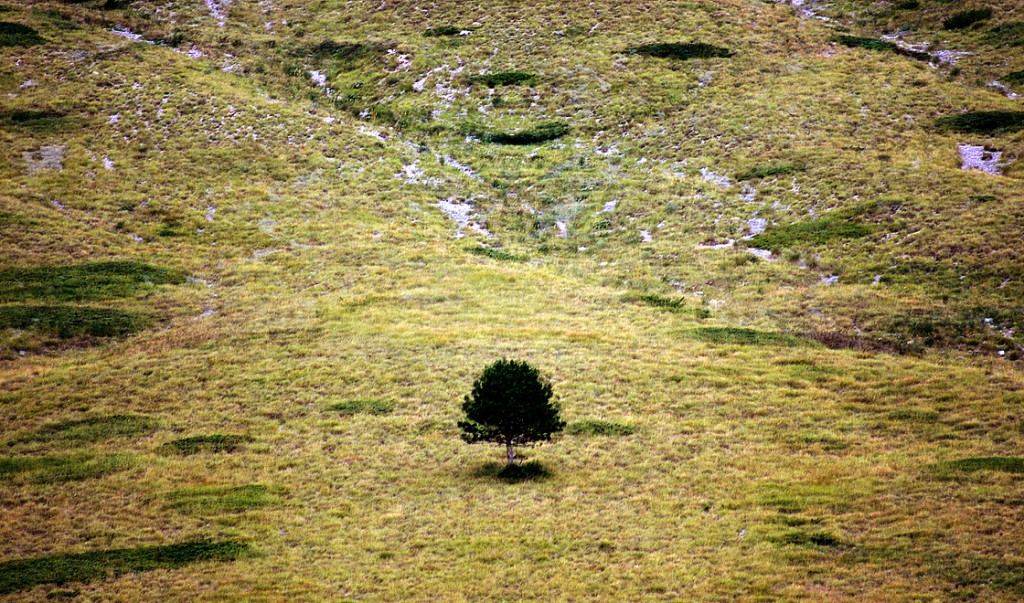 Invictus (Piano Grande di Castelluccio)