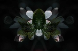 AD_IMG_4057