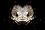 angelocaduto_005
