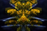 demone_201010