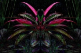demone_201112