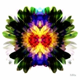 AD_6614