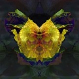 AD_IMG_0634