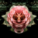 AD_IMG_4026