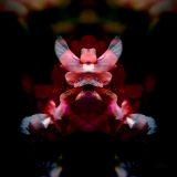AD_IMG_4412