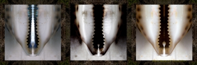 Ciprea_c01
