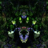 foresta009mask