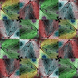 scacchiera_foglie02